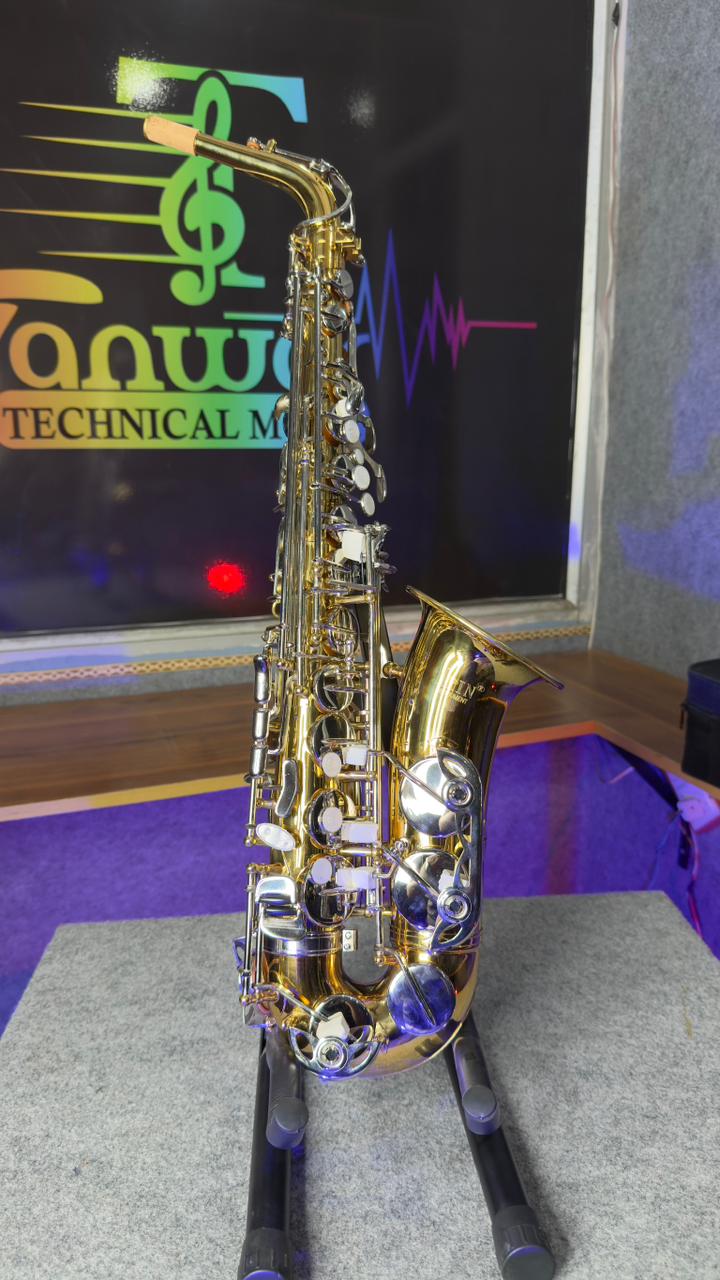Alto Saxophone – Golden Finish